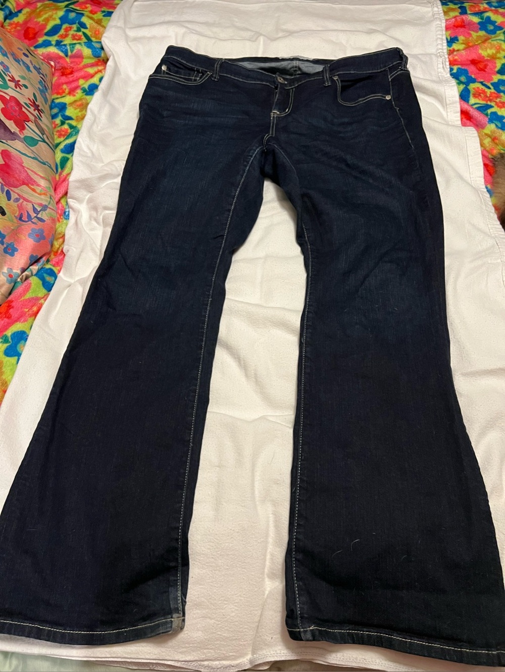 torrid Dark Blue Flare Jeans